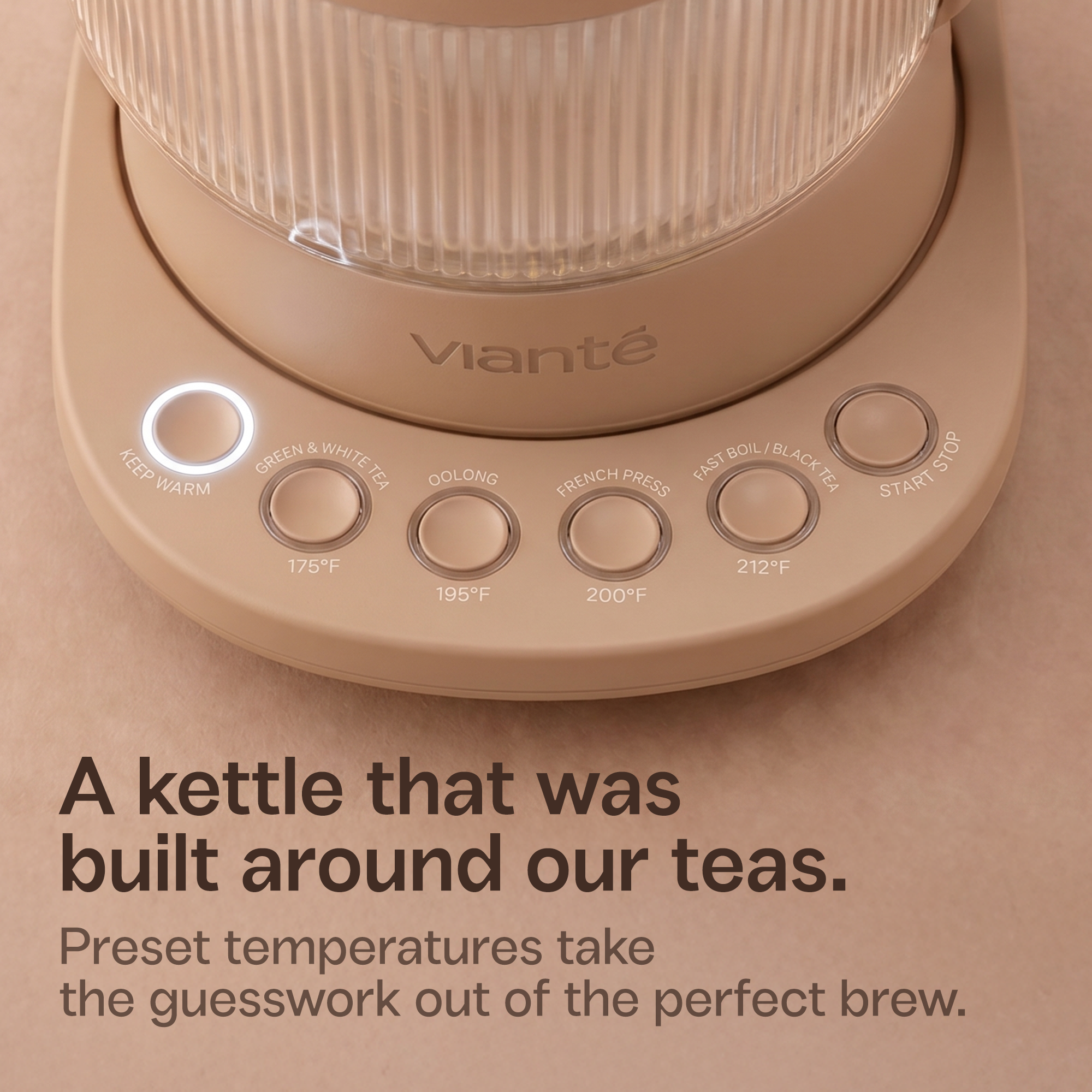 The Complete Vianté Experience Bundle
