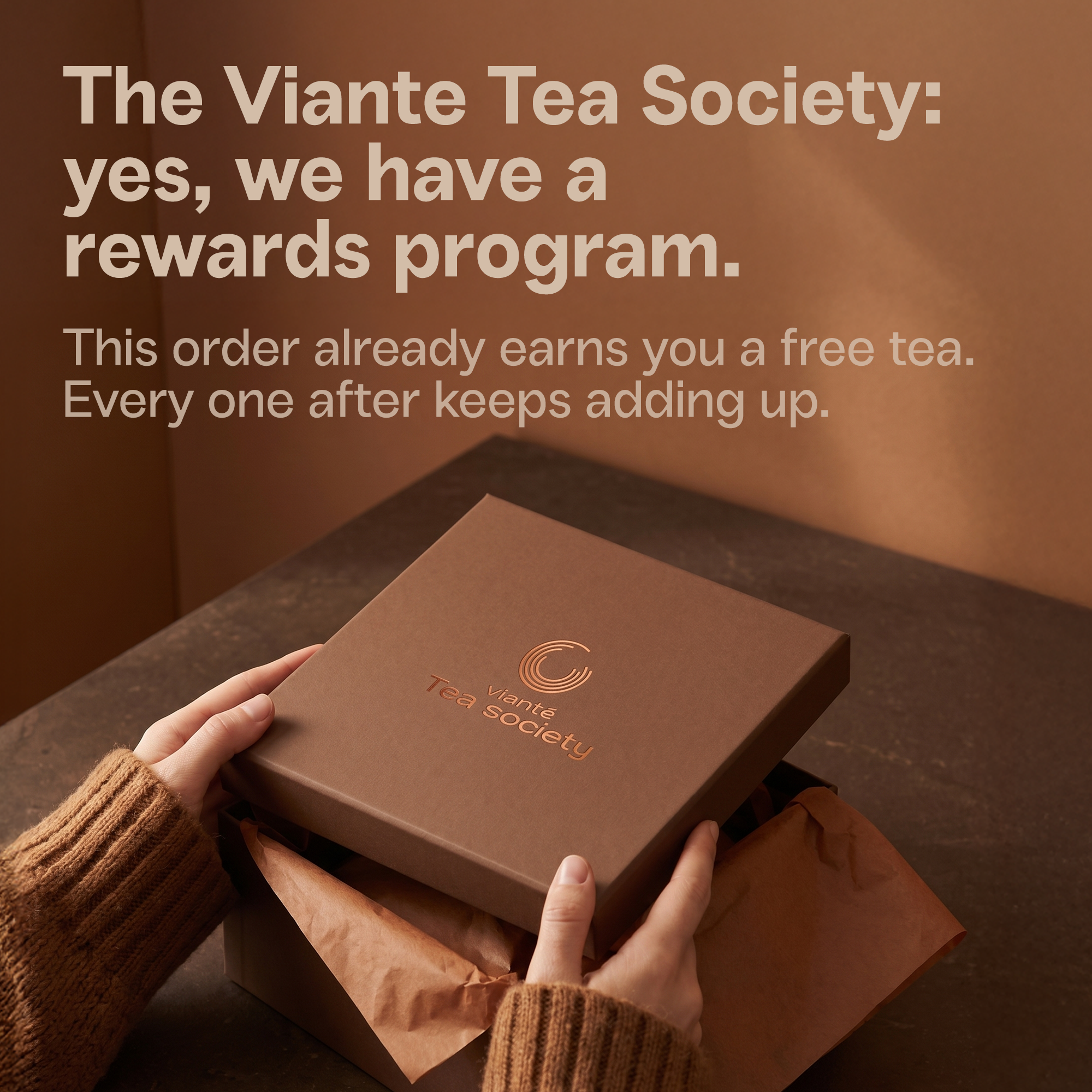 The Complete Vianté Experience Bundle