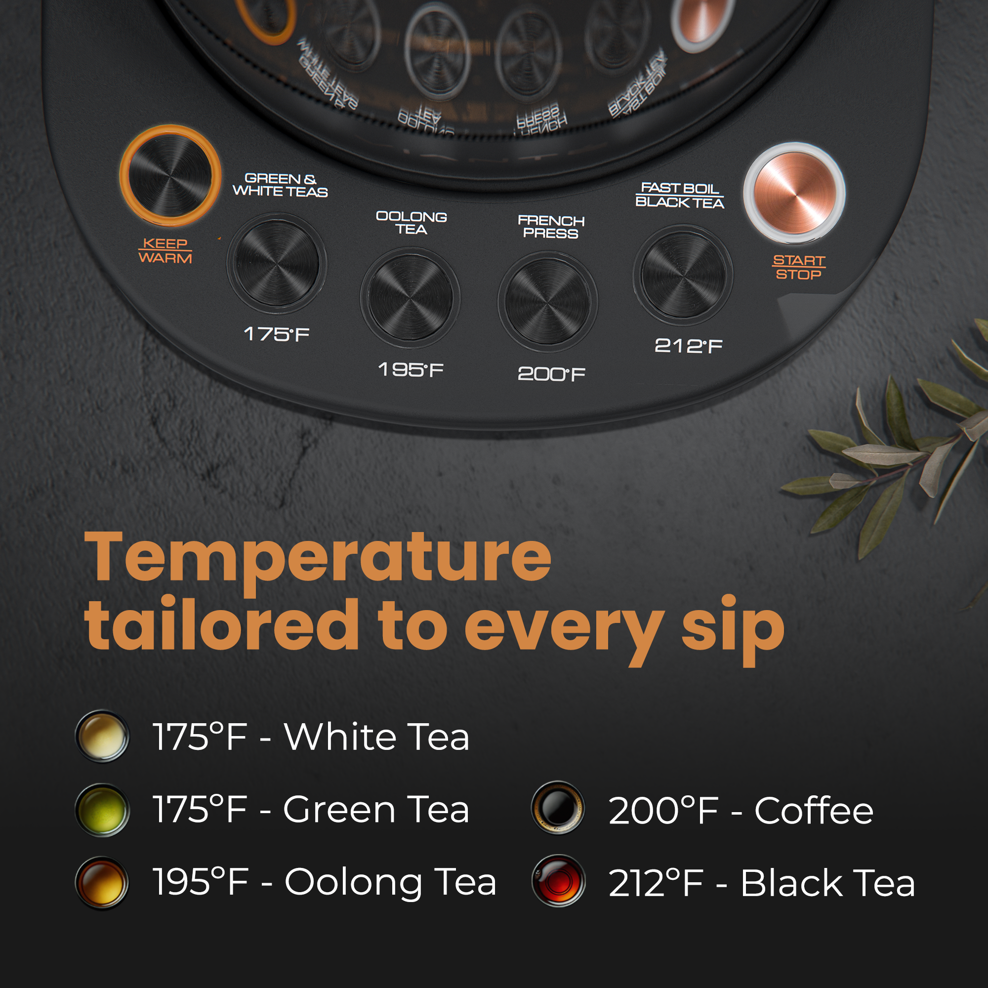 Automatic Digital Tea Maker with Infuser