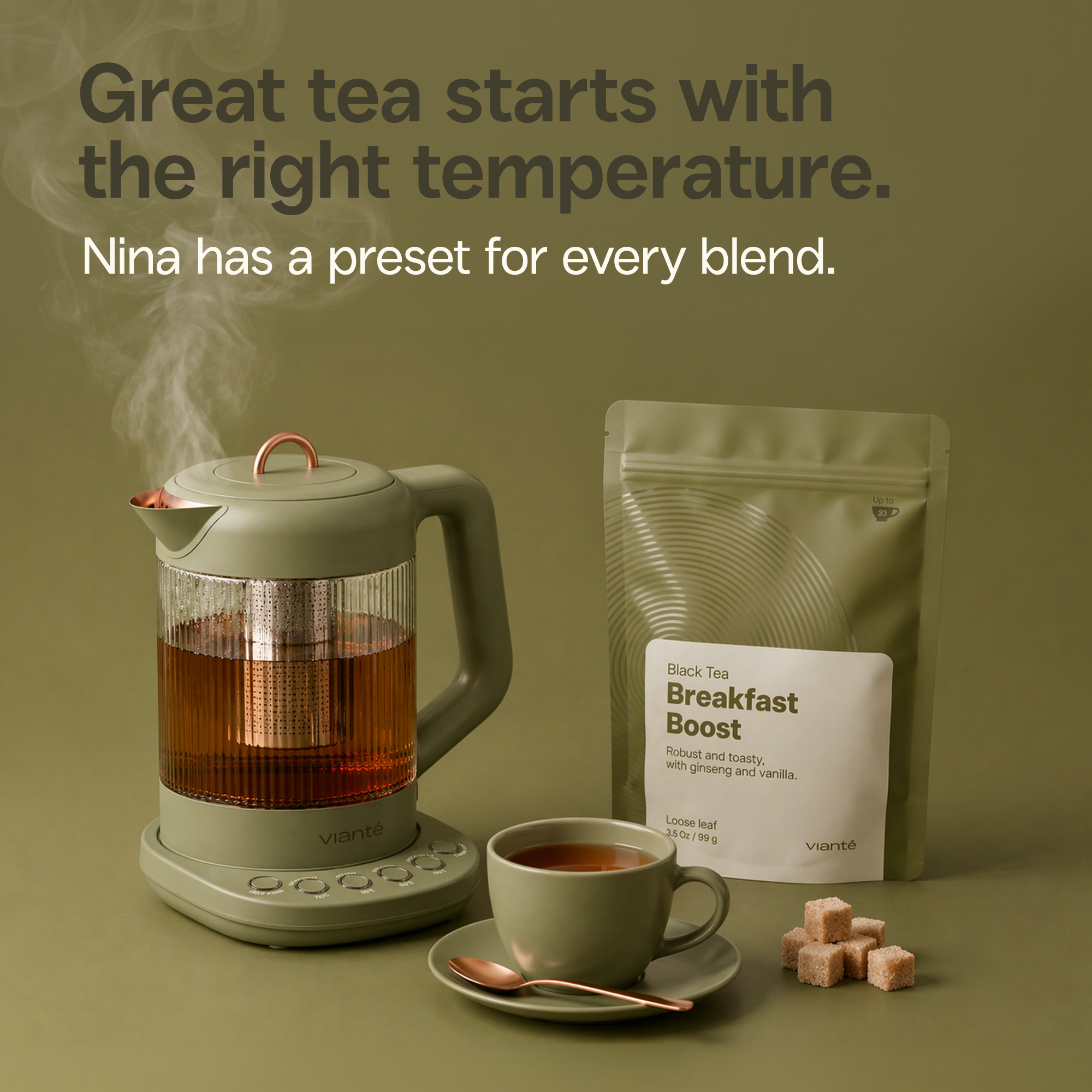 Breakfast Boost - Loose Leaf Tea