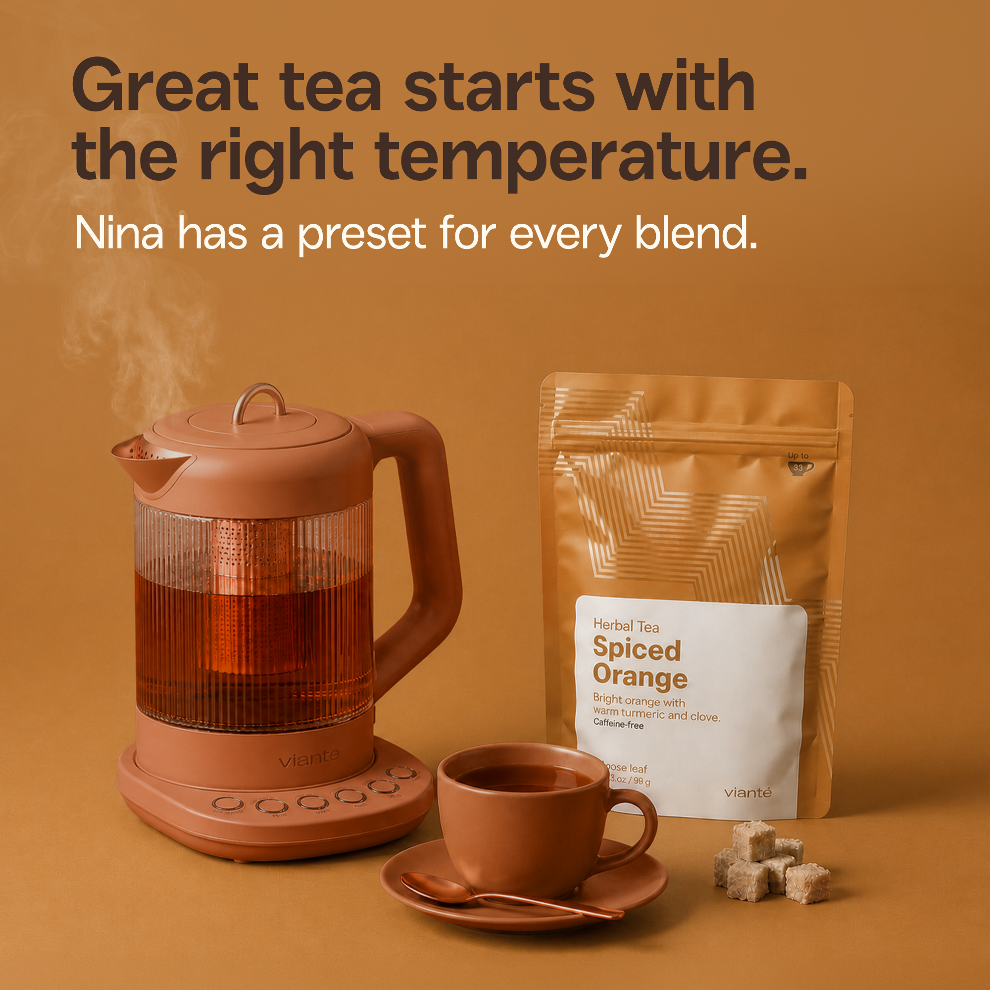 Spiced Orange - Loose Leaf Tea